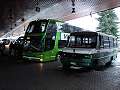 thn_Osornoa autobusak1.jpg